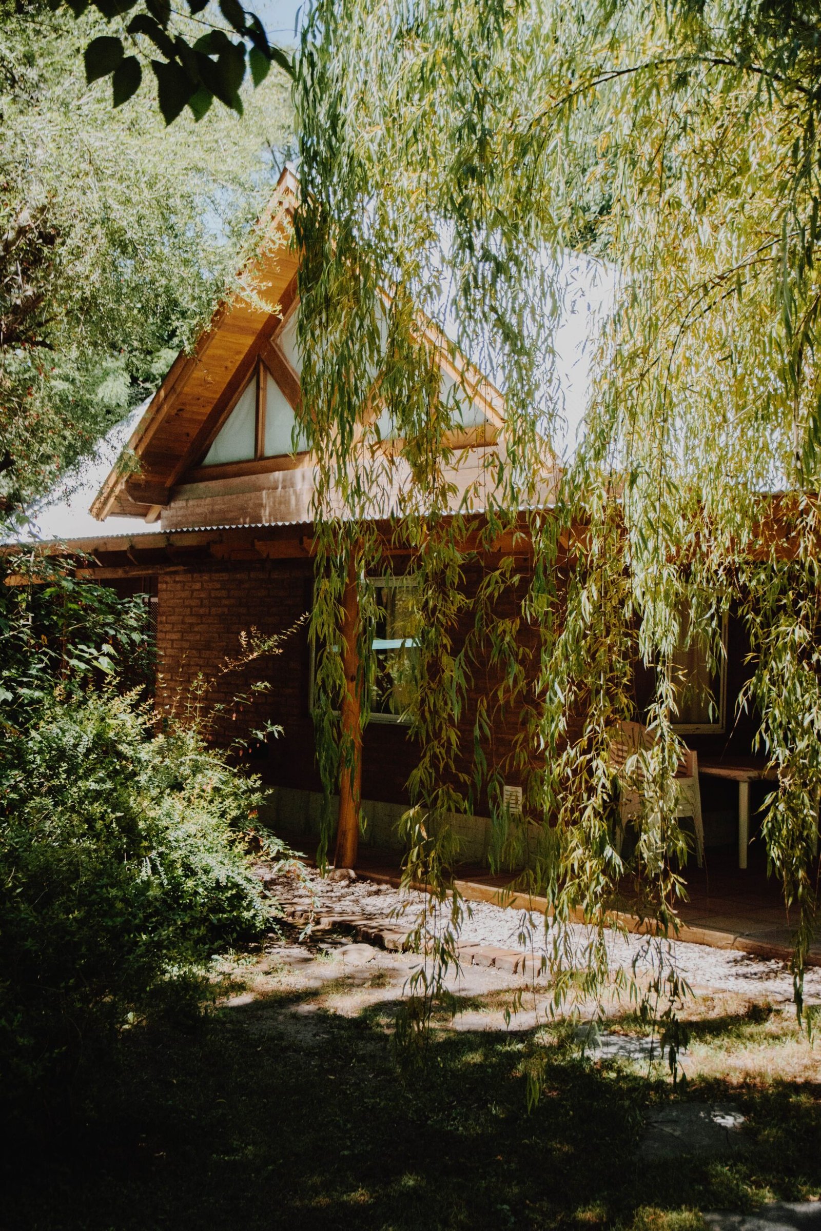 A cozy wooden cabin nestled in verdant surroundings with sunlight filtering through the trees.